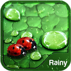 Theme for Rainy Weather icon