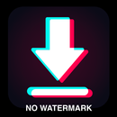 Download video no watermark APK