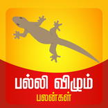 பல்லி விழும் பலன்கள்