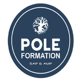POLE NET APK