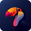 Toucan Kwgt APK