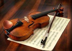 Apprenez à jouer du violon. Cours de violon capture d'écran 3