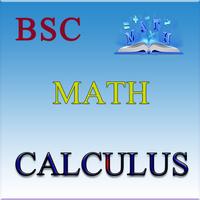 BSC Math Calculus Affiche