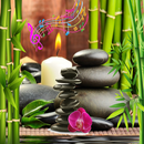 Relaxing Sounds and Music 2019 APK