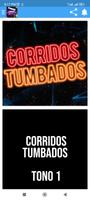 Tonos de corridos tumbados captura de pantalla 2