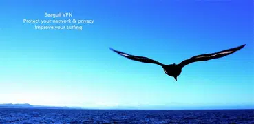 Seagull VPN-Easy and reliable!