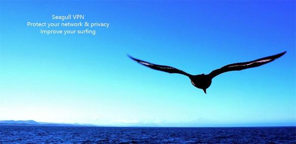 How to Download Seagull VPN-Easy and reliable! Old Versions for Android image