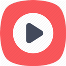 PlayerX - All Format Video Player APK