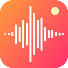 Voice Recorder Pro XAPK download