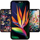 Farbenfrohe Hintergrundbilder APK