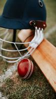 Cricket Wallpaper โปสเตอร์