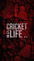 Cricket Wallpaper ภาพหน้าจอ 1