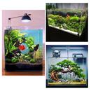 Aquariumdesign -Ideen APK