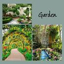 Bahçe Tasarımları (Botanik) APK