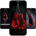 Fondos de pantalla de boxeo