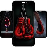 Boxing Wallpapers