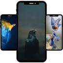 Tüm Kuşlar Duvar Kağıdı APK