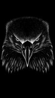Black / White Tattoos poster