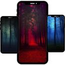 Forest Wallpapers-APK