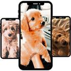 Dog Puppies Wallpaper アイコン