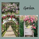 Bahçe Tasarımları (Gül) APK