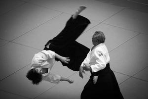 Aikido training تصوير الشاشة 1