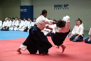 Aikido training screenshot 2