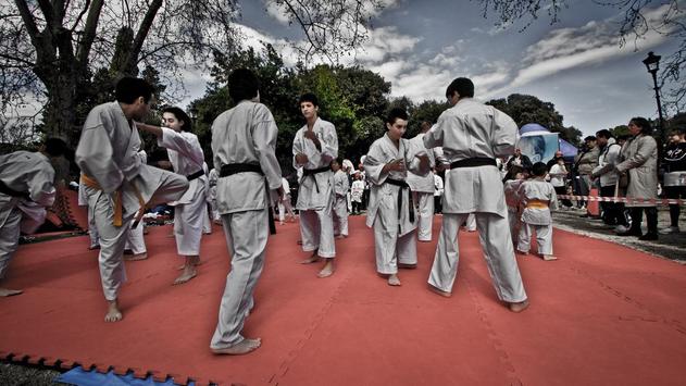 Karate training screenshot 9
