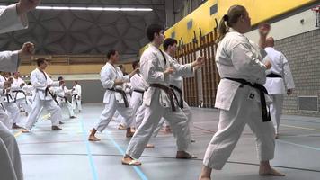 Karate training syot layar 1