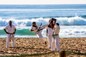 Karate training Ekran Görüntüsü 2