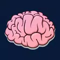 Brain quiz
