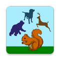 Animales