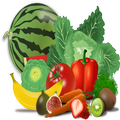 Food Guide Series