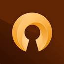 Lava VPN: Fast Unlimited Proxy APK