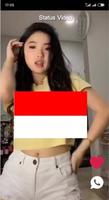 VidStatus تصوير الشاشة 1