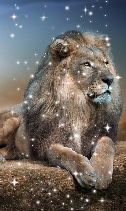 Special Lion HD Live Wallpaper APK per Android Download Special Lion HD Live Wallpaper APK per Android Download