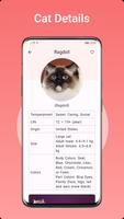 Cat Breeds Assistant screenshot 1