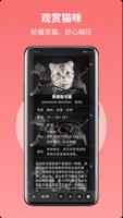 猫品种大全 imagem de tela 3