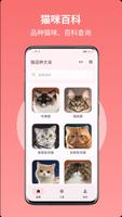 猫品种大全 پوسٹر