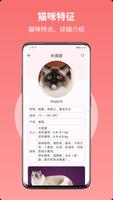 猫品种大全 imagem de tela 1