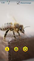 Varroa Counter Ekran Görüntüsü 1