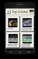 Top Cricket পোস্টার