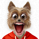 Talking Animals APK