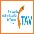 QSA TDV C