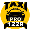 TAXI PRO 1229 APK