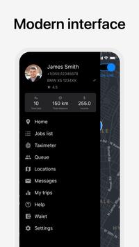TA Driver Alpha™ Taxi screenshot 3