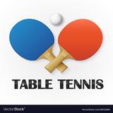 Table Tennis 3D Ping Pong