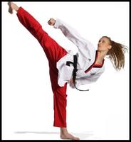 Learn Taekwondo. Self Defense, poster