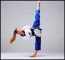 Learn Taekwondo. Self Defense, screenshot 1