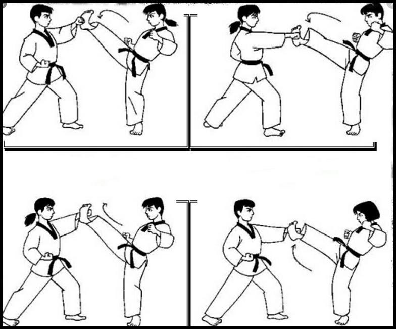 Learn Taekwondo Self Defense Martial Arts For Android Apk Download - taekwondo martial arts roblox